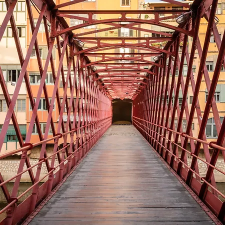 Bypillow The Bloom * 赫罗纳