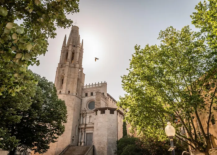 Bypillow The Bloom *